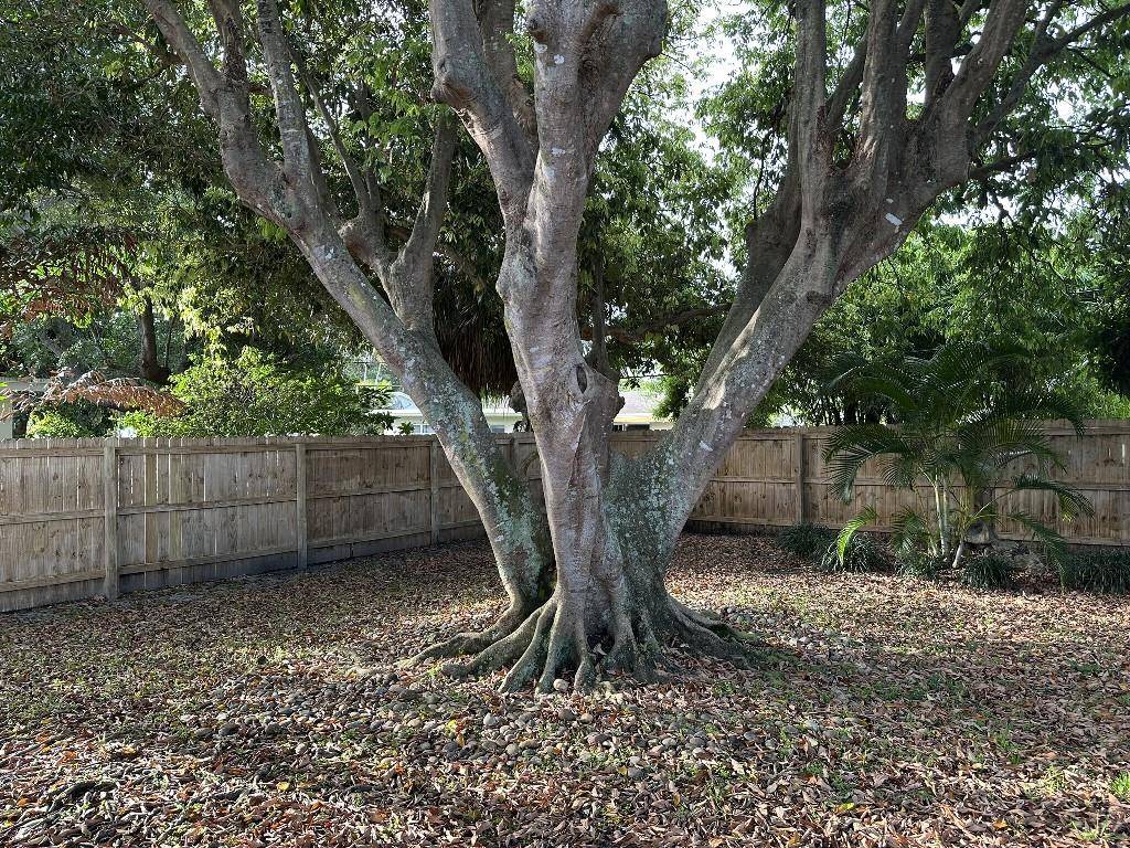 Boca Raton, FL 33432,268 NW 12th St