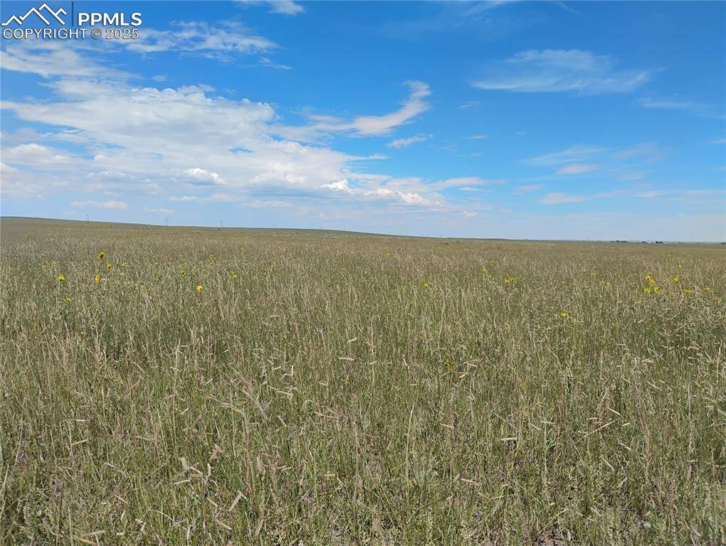 Colorado Springs, CO 80928,Parcel 16 Squirrel Creek RD