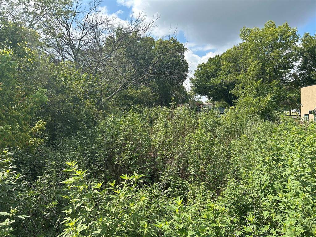 Argyle, TX 76226,113 Collins Street