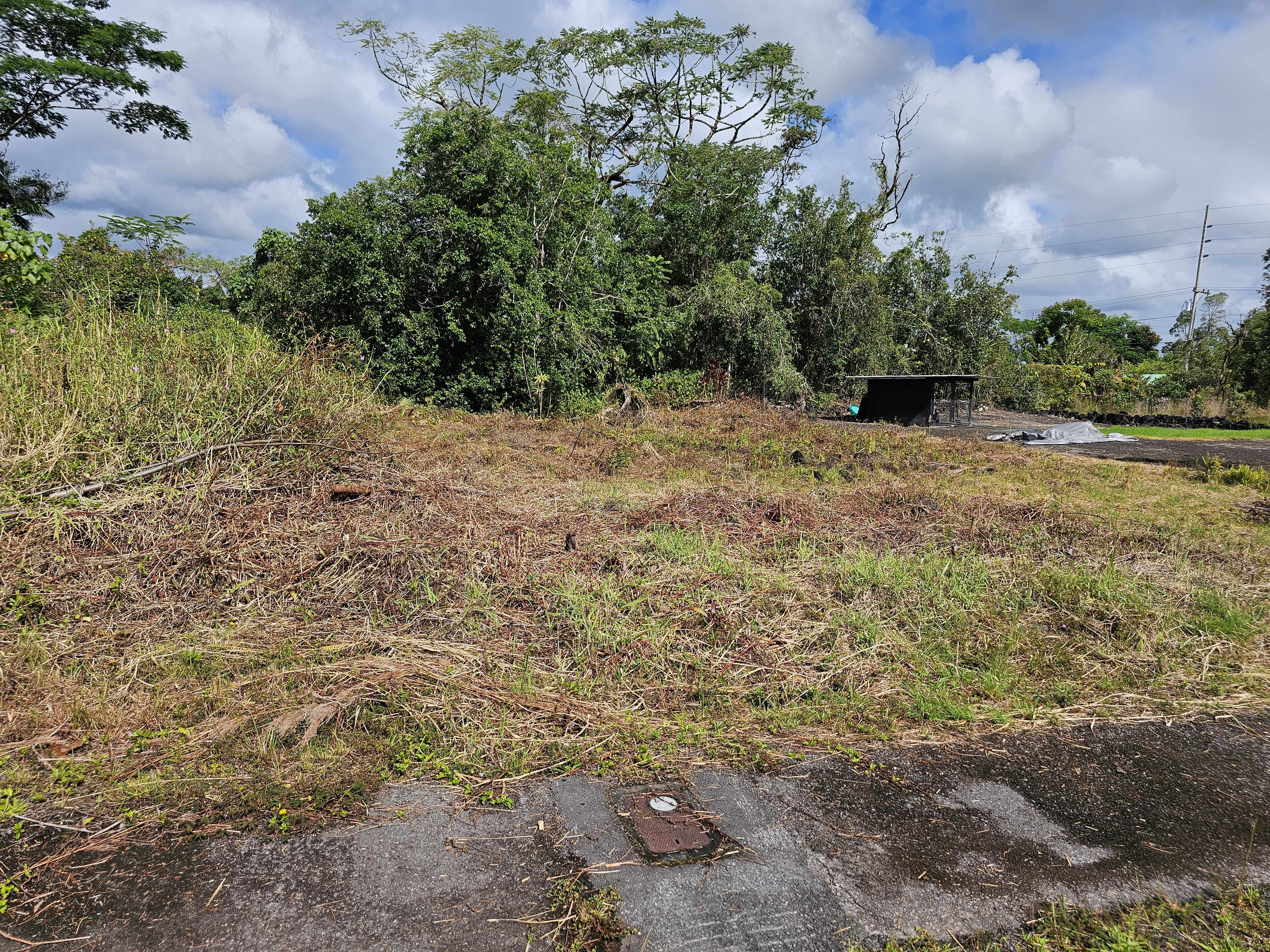 Hilo, HI 96720,52 WILDER RD