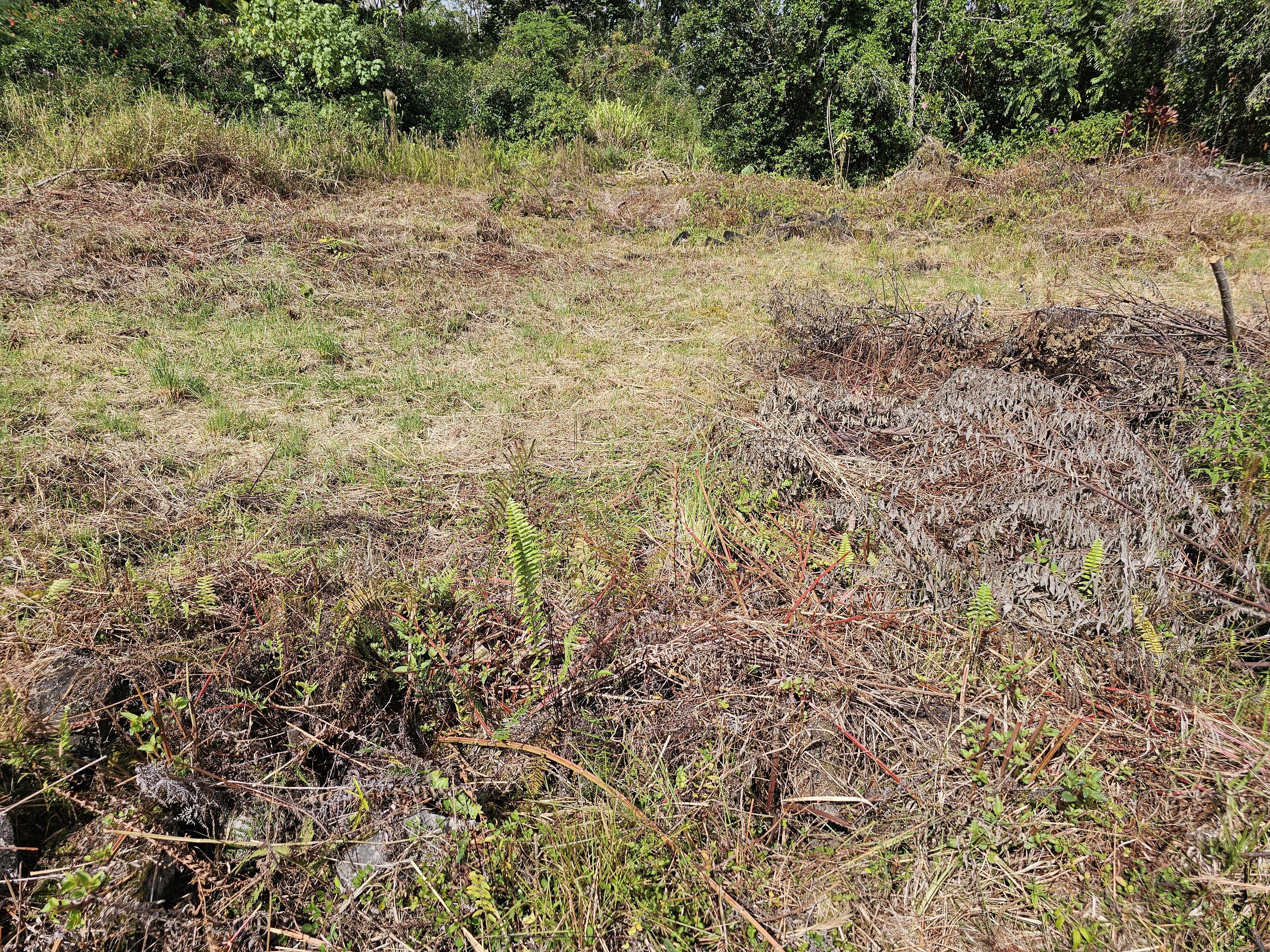 Hilo, HI 96720,52 WILDER RD