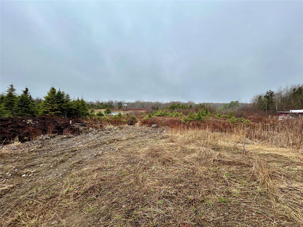 Grand Falls-windsor, NL A2B 1E3,10 Kingston Road