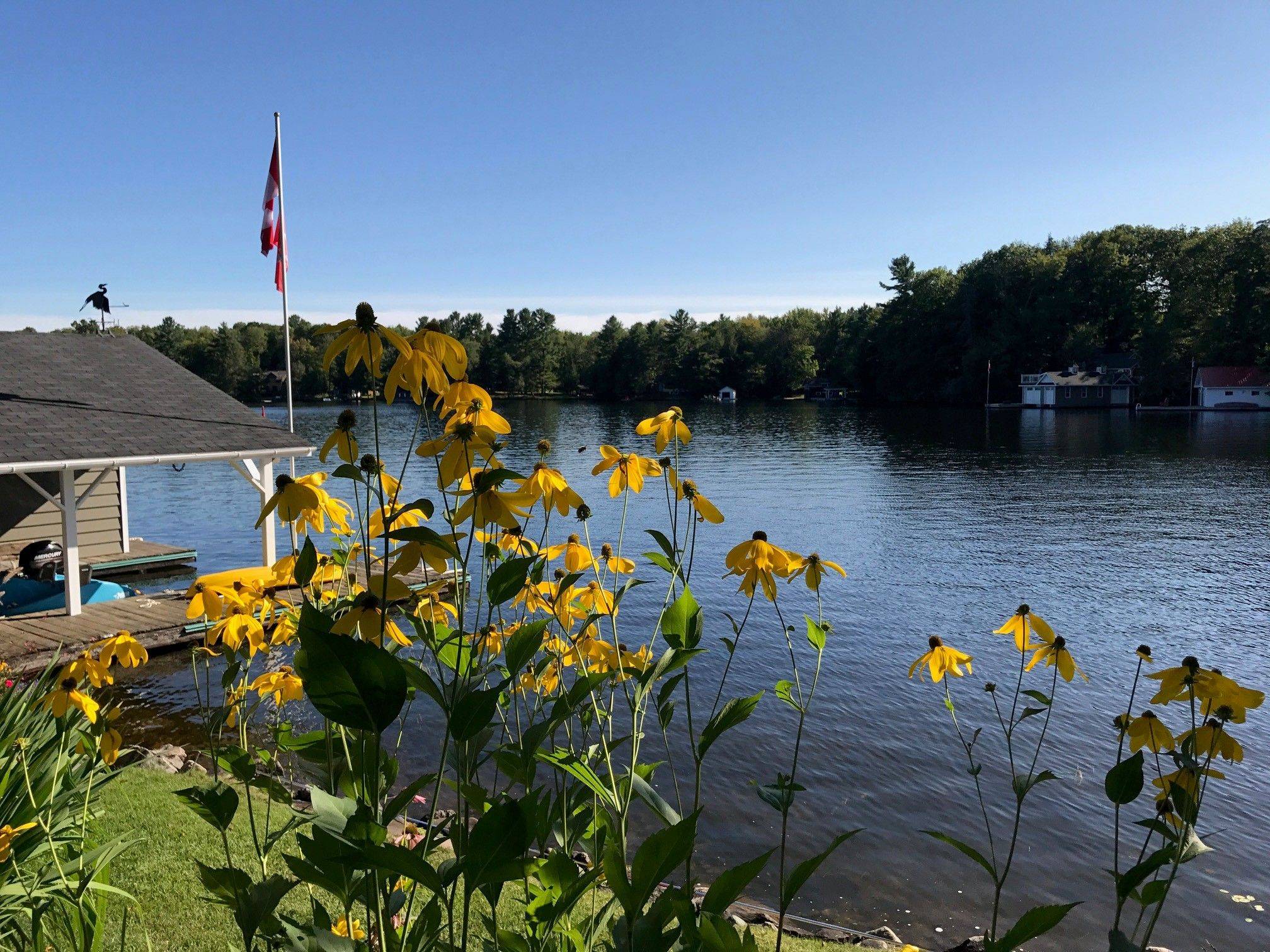 Muskoka Lakes, ON P0B 1J0,1027 Old Bridge RD #4