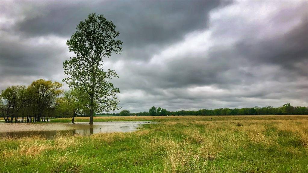 Petty, TX 75470,TBD County Road 26701