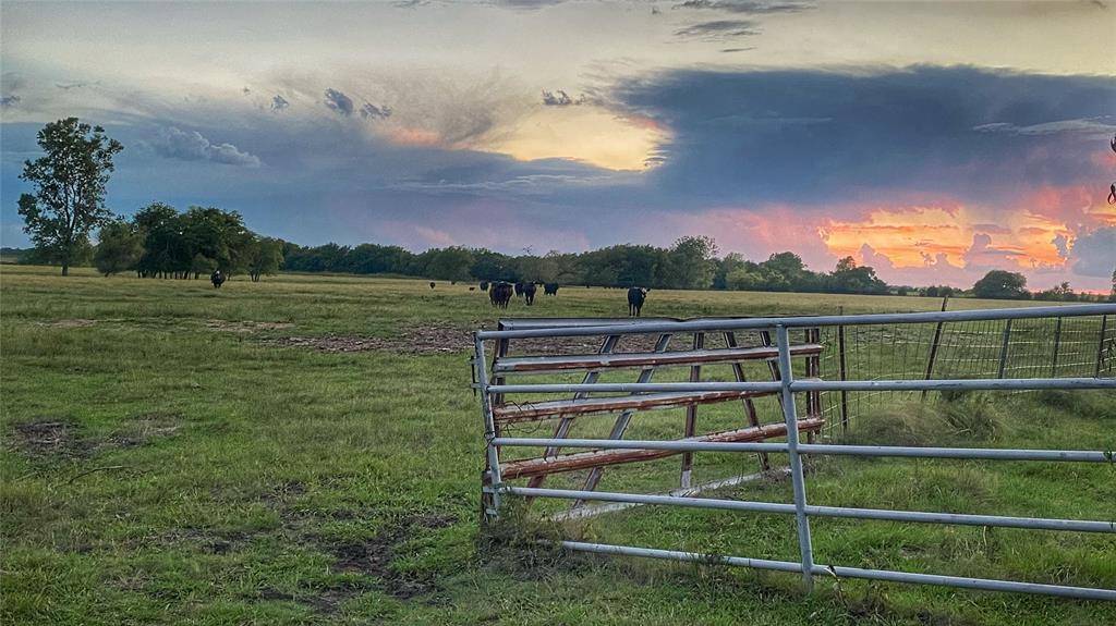 Petty, TX 75470,TBD County Road 26701