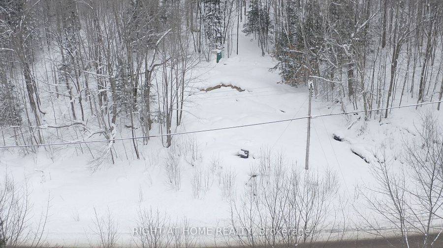 Lake Of Bays, ON P0A 1E0,22382 Highway 35 HWY