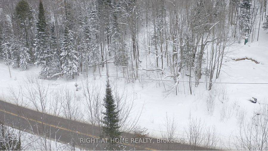 Lake Of Bays, ON P0A 1E0,22382 Highway 35 HWY