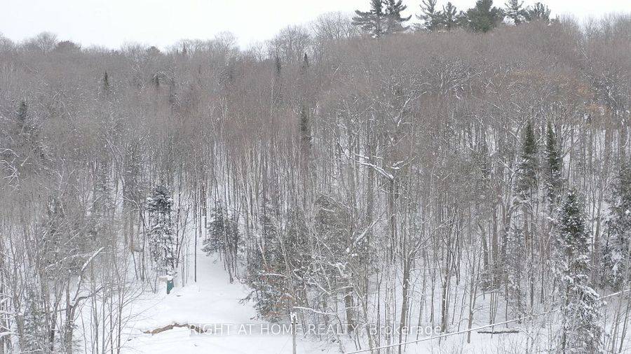 Lake Of Bays, ON P0A 1E0,22382 Highway 35 HWY