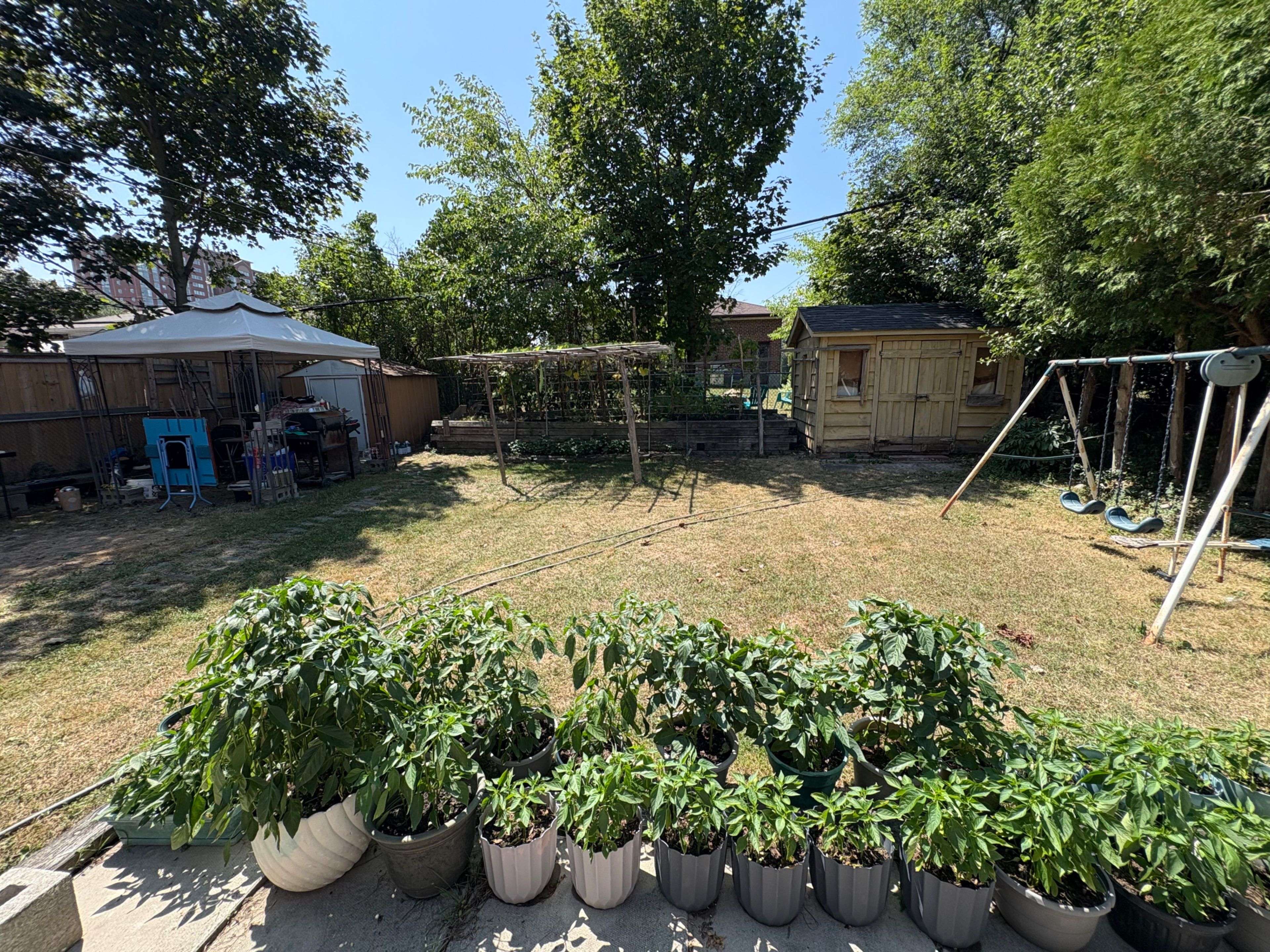 Toronto E08, ON M1K 4G3,932 Midland AVE