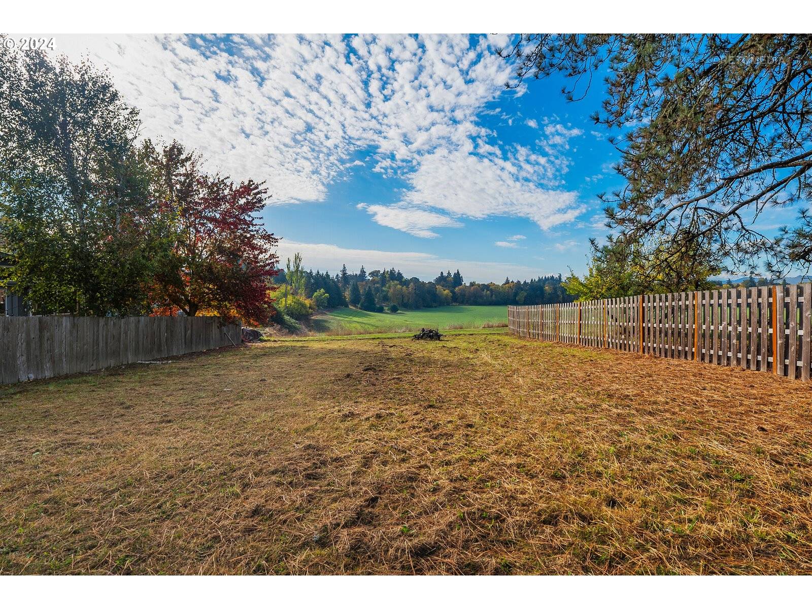 Carlton, OR 97111,420 W GRANT ST