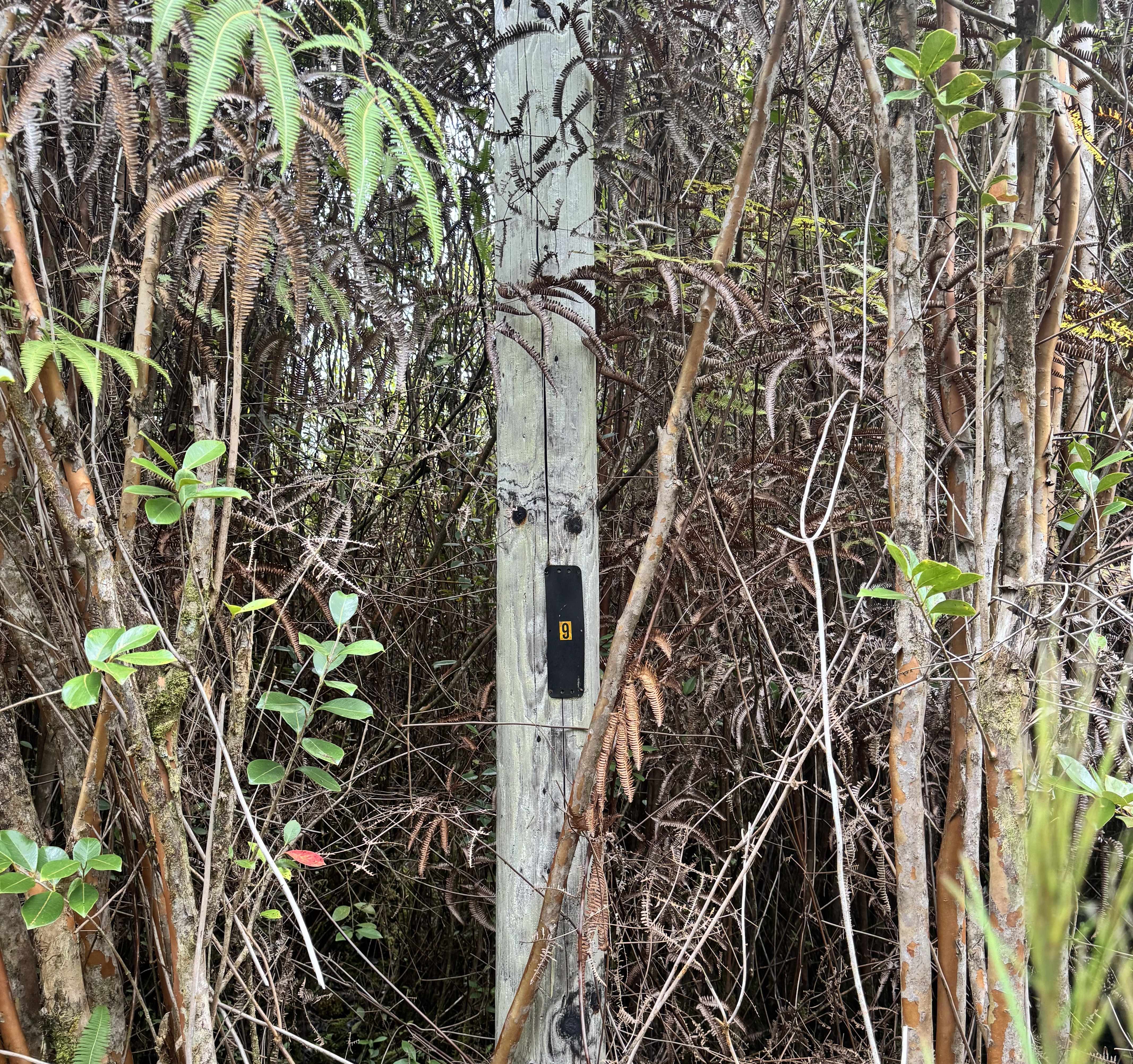 Mountain View, HI 96771,AMAKIHI ST