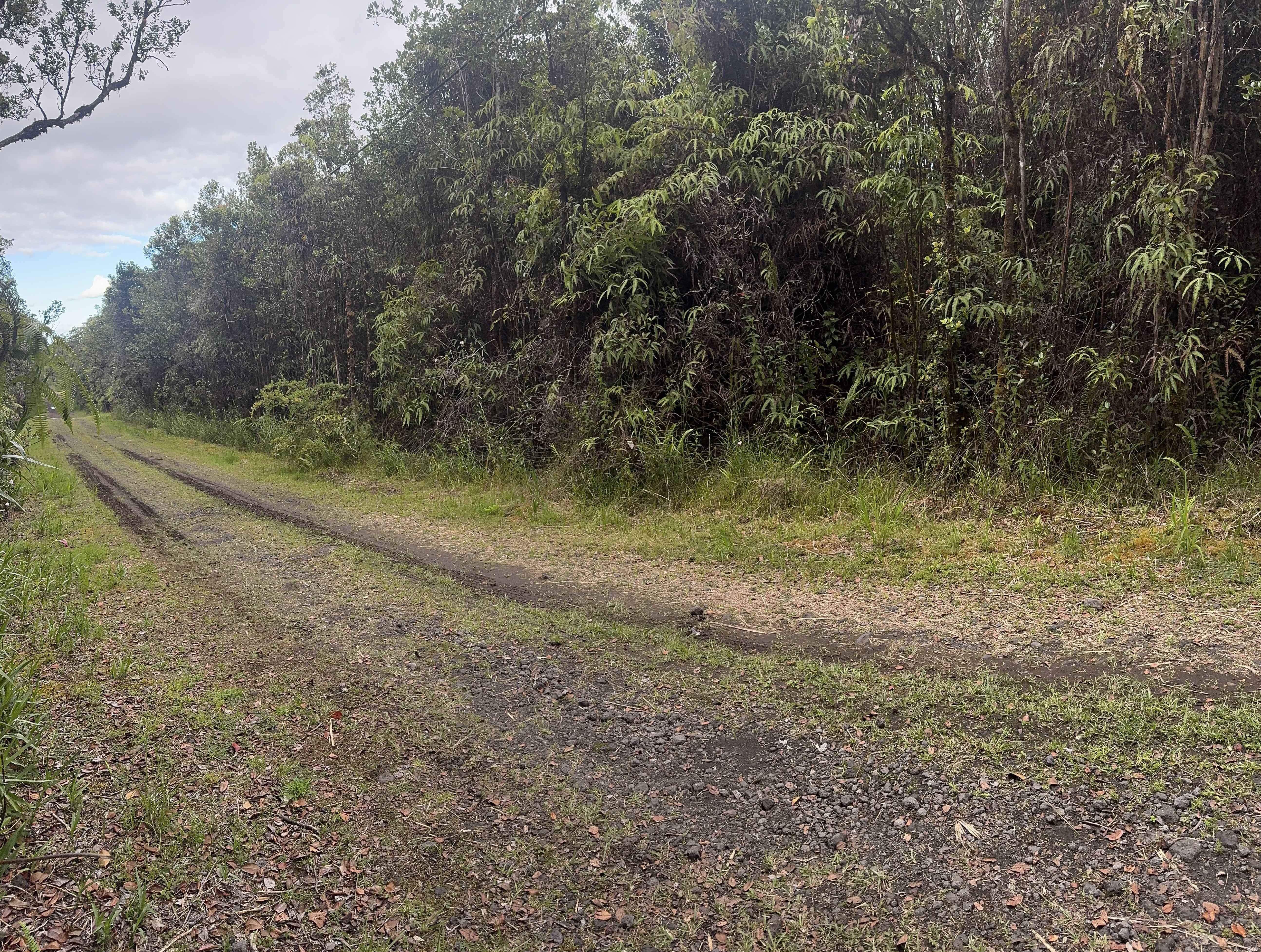 Mountain View, HI 96771,AMAKIHI ST