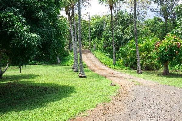 6820-B KOOLAU RD, Kilauea, HI 96754