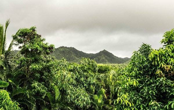 6820-B KOOLAU RD, Kilauea, HI 96754