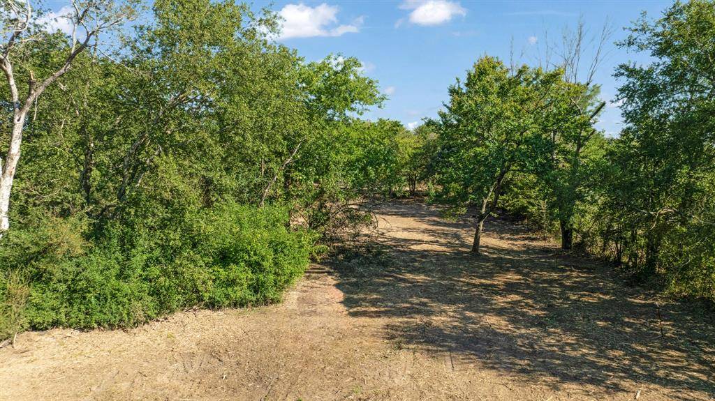 Blossom, TX 75416,TBD FR 194