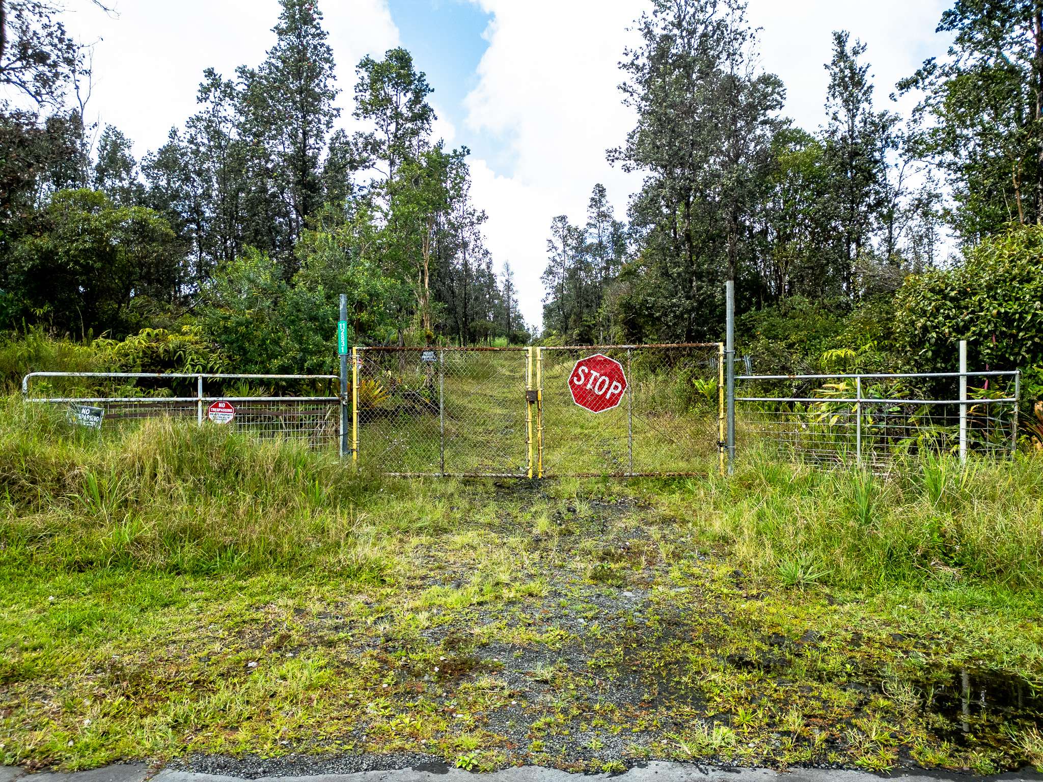 Mountain View, HI 96771,11-2831 LEHUA ST