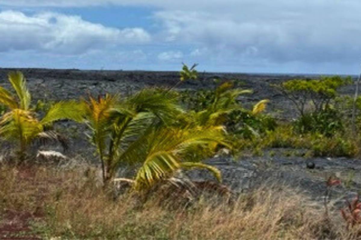 12-5370 OHANA ROAD, Pahoa, HI 96778