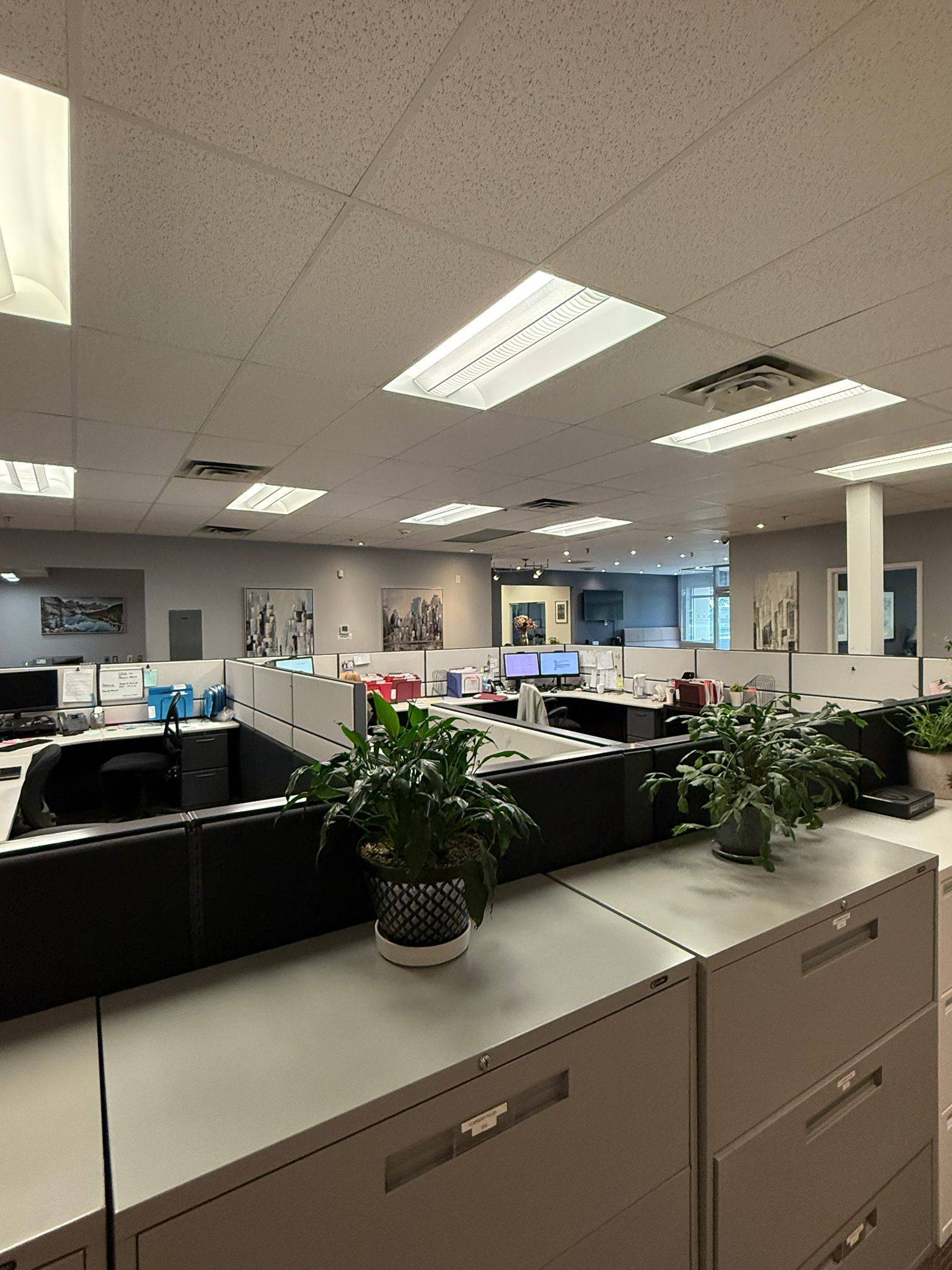 Toronto W05, ON M3J 2M2,300 Supertest RD #Office C2