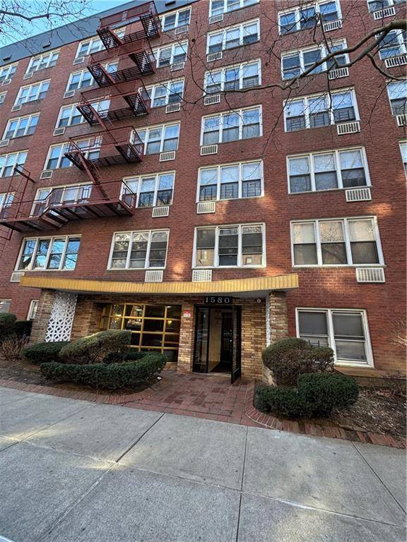 Brooklyn, NY 11230,1580 East 13th ST #7G