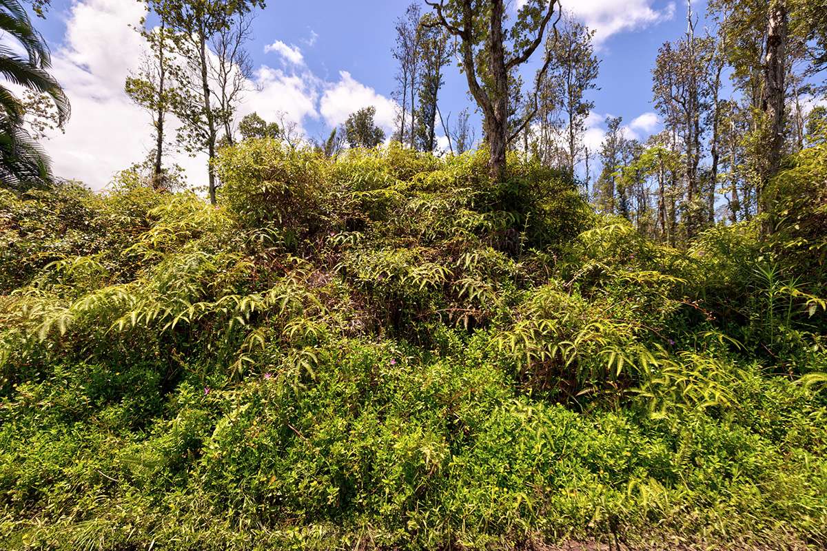 Pahoa, HI 96778,NANAWALE FARMS RD