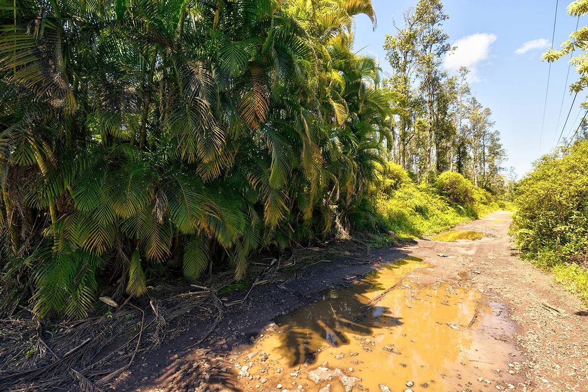 Pahoa, HI 96778,NANAWALE FARMS RD