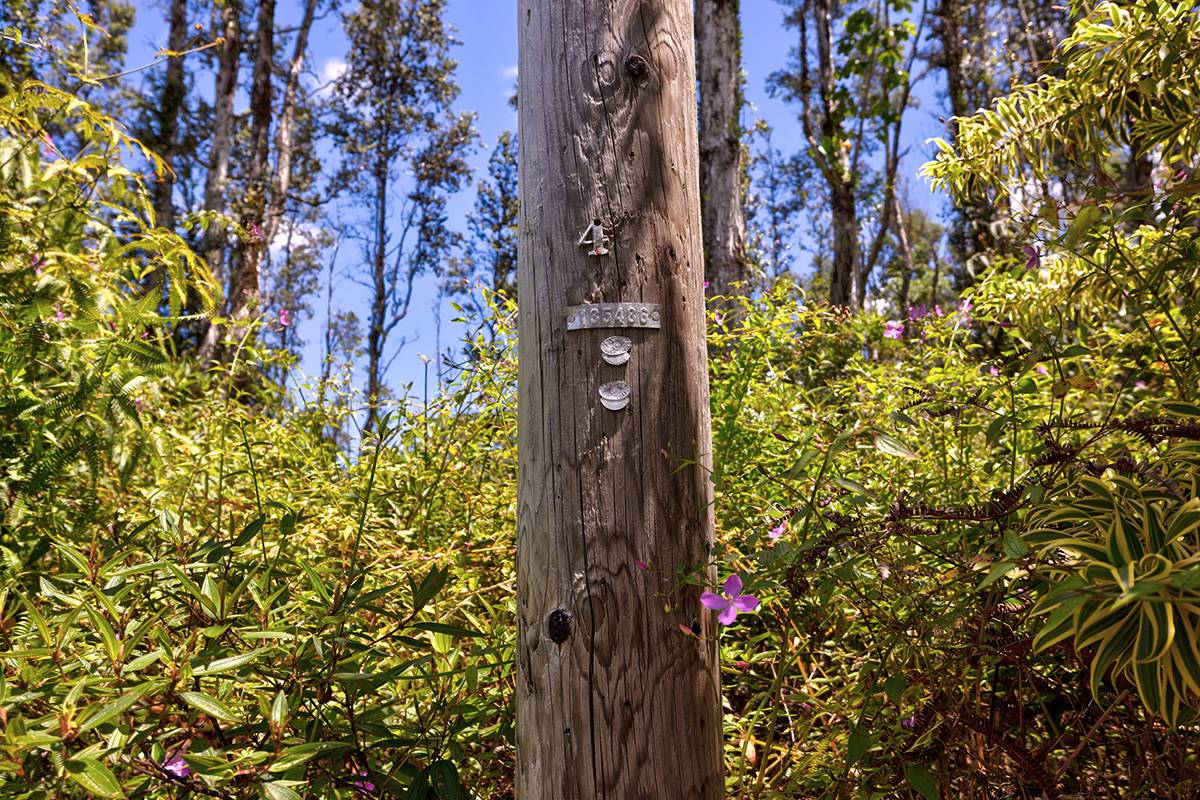 Pahoa, HI 96778,NANAWALE FARMS RD