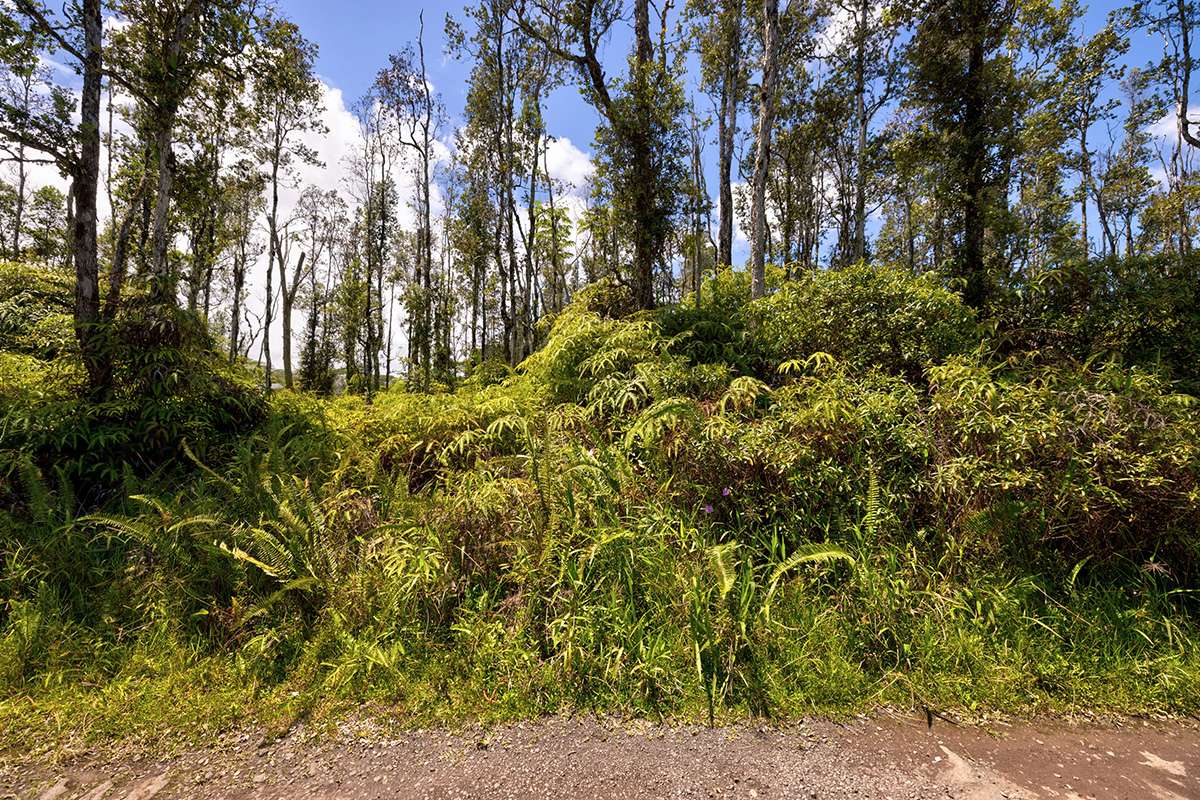 NANAWALE FARMS RD, Pahoa, HI 96778