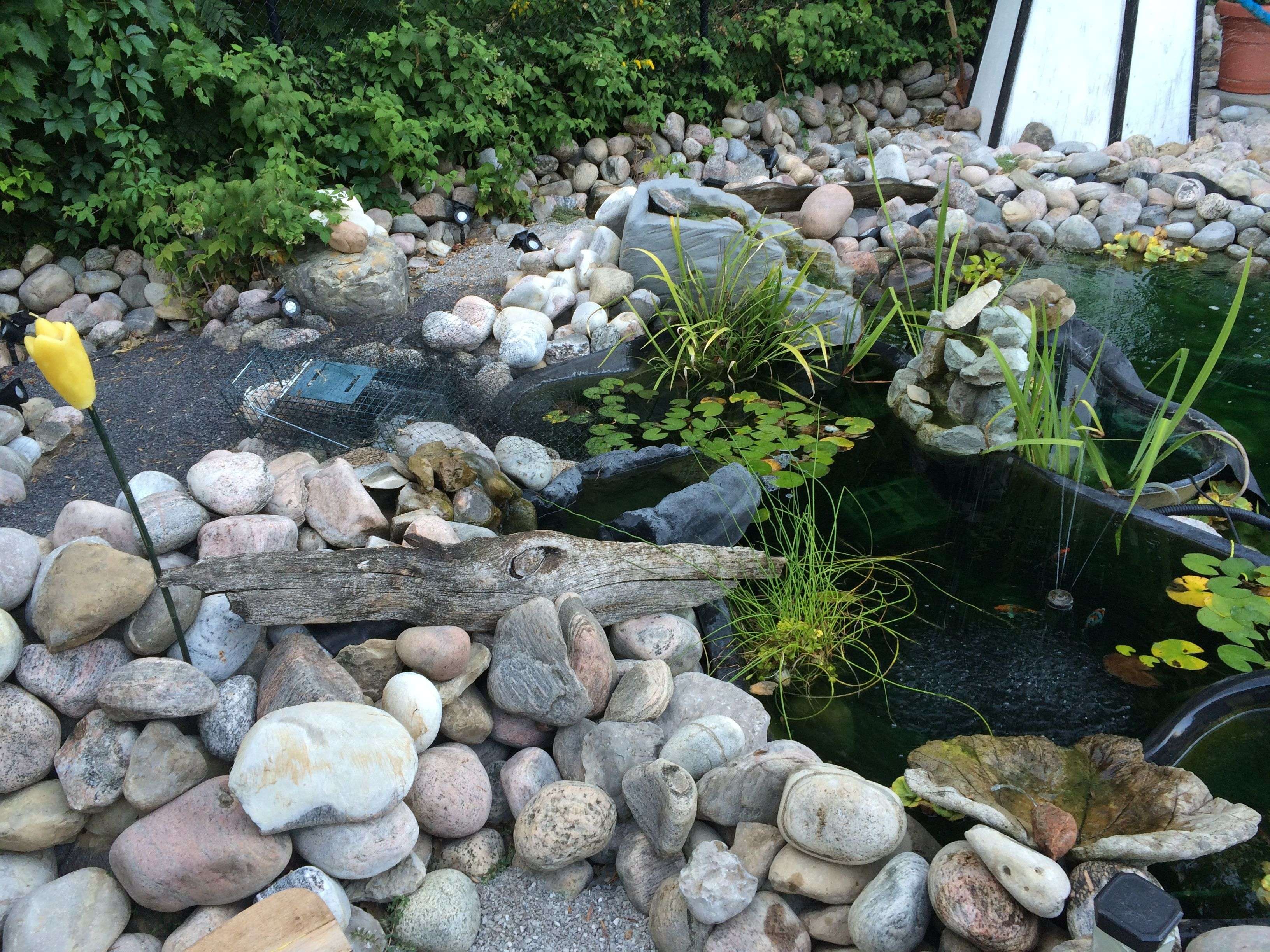 Wasaga Beach, ON L9Z 1R7,56 Idlewood DR S