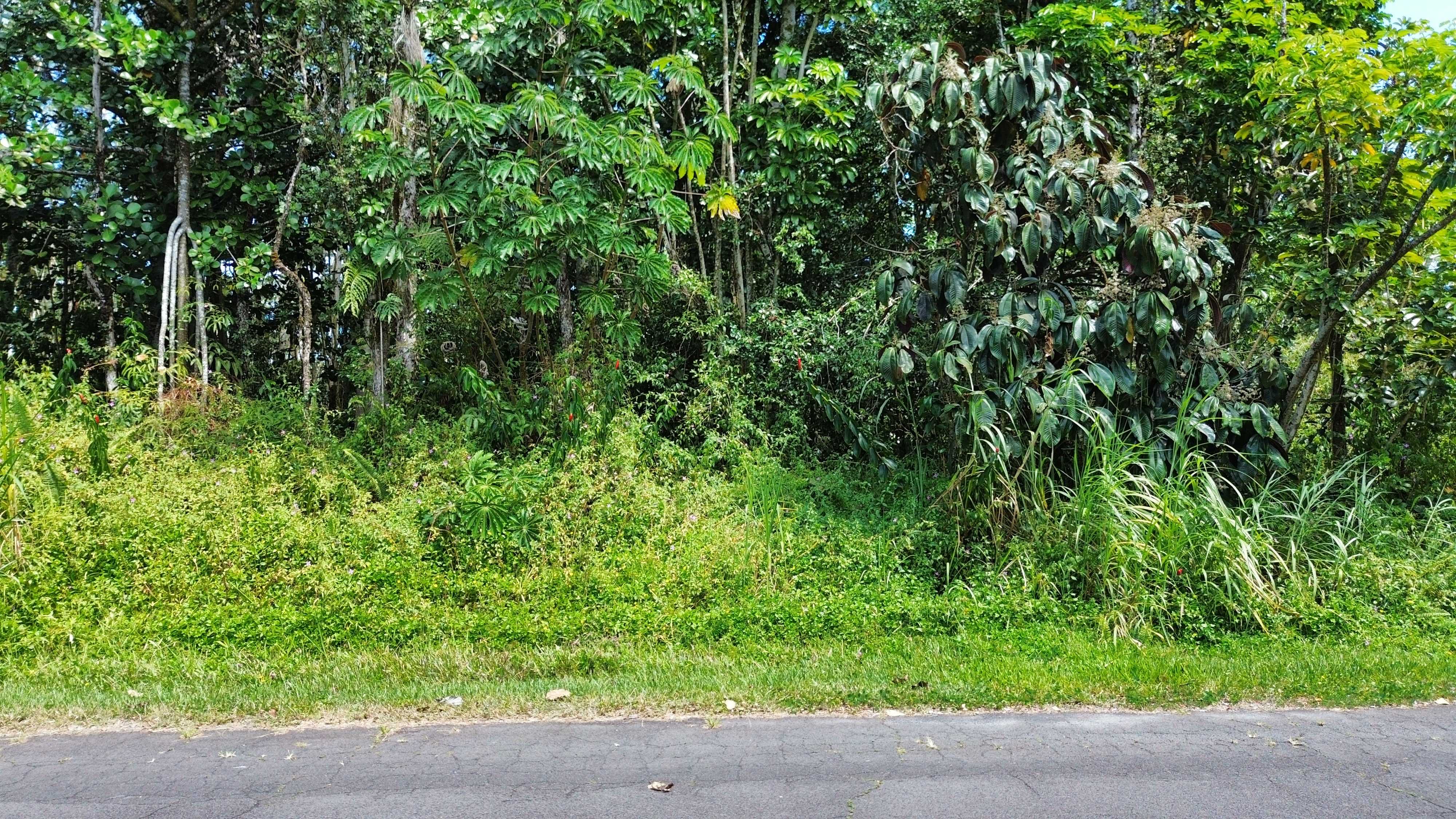 Pahoa, HI 96778,KEHAU RD