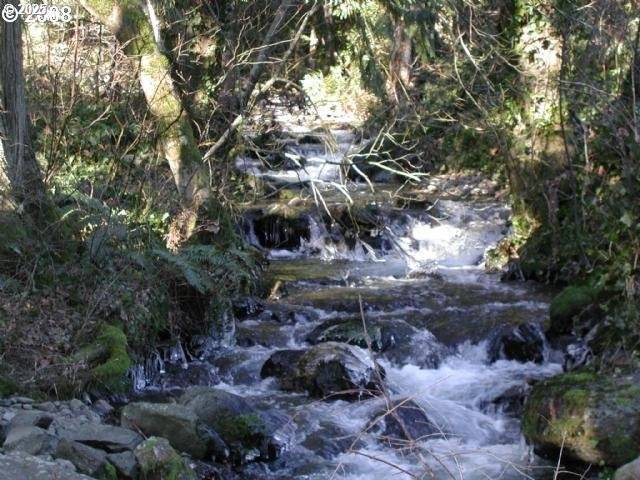 Carson, WA 98610,141 CARSON CREEK RD