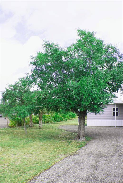 Clewiston, FL 33440,539 Montura Ave