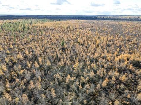 Merrickville-wolford, ON K0G 1N0,13208 County 15 RD