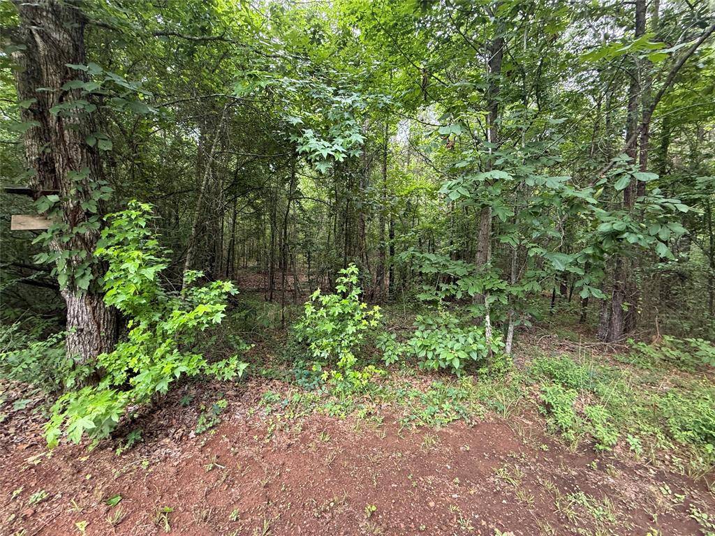 Benton, LA 71006,0 Crouch Road #2