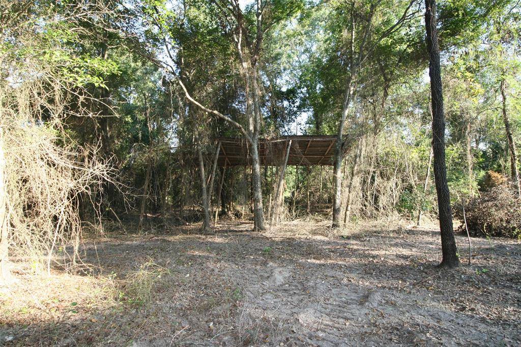 Grand Saline, TX 75140,Tract 3 TBD VZCR 1507