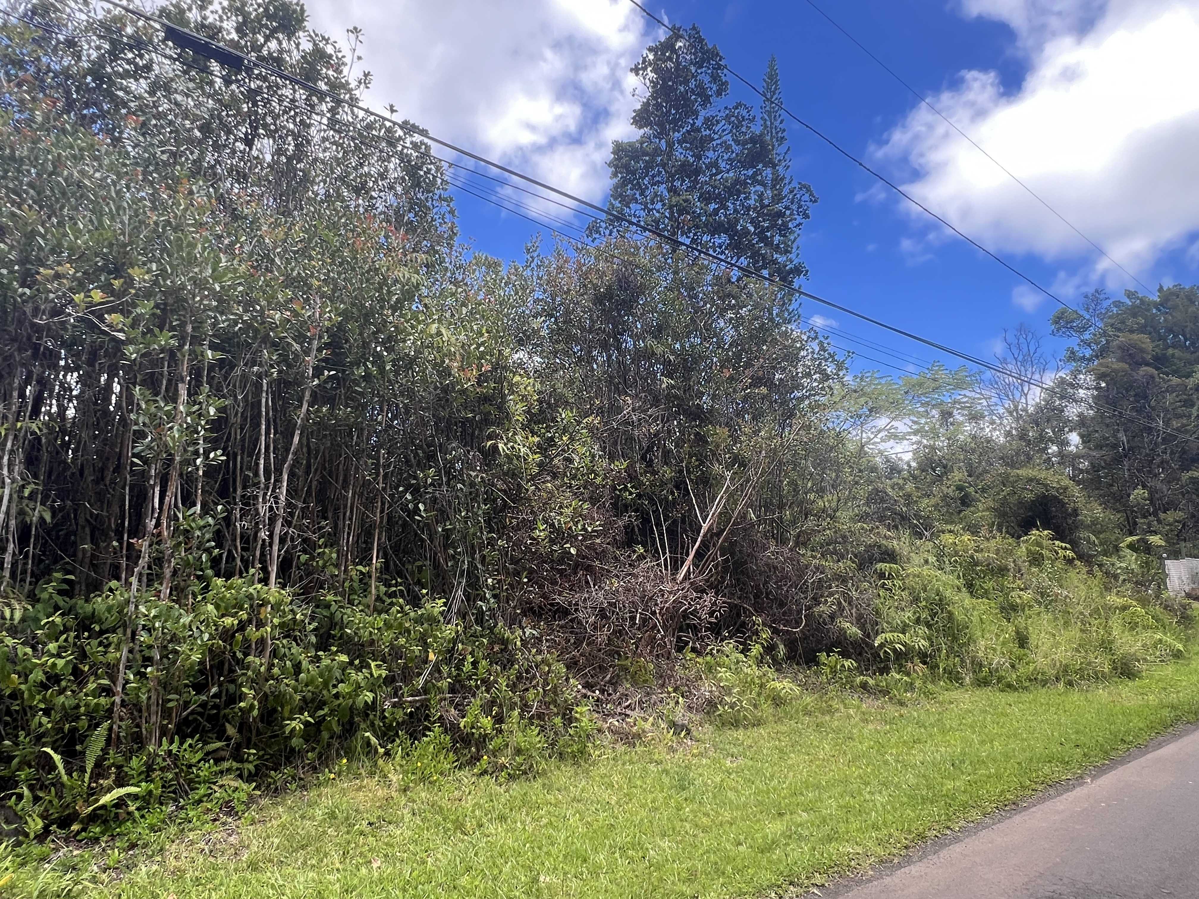 Mountain View, HI 96771,PLUMERIA ST