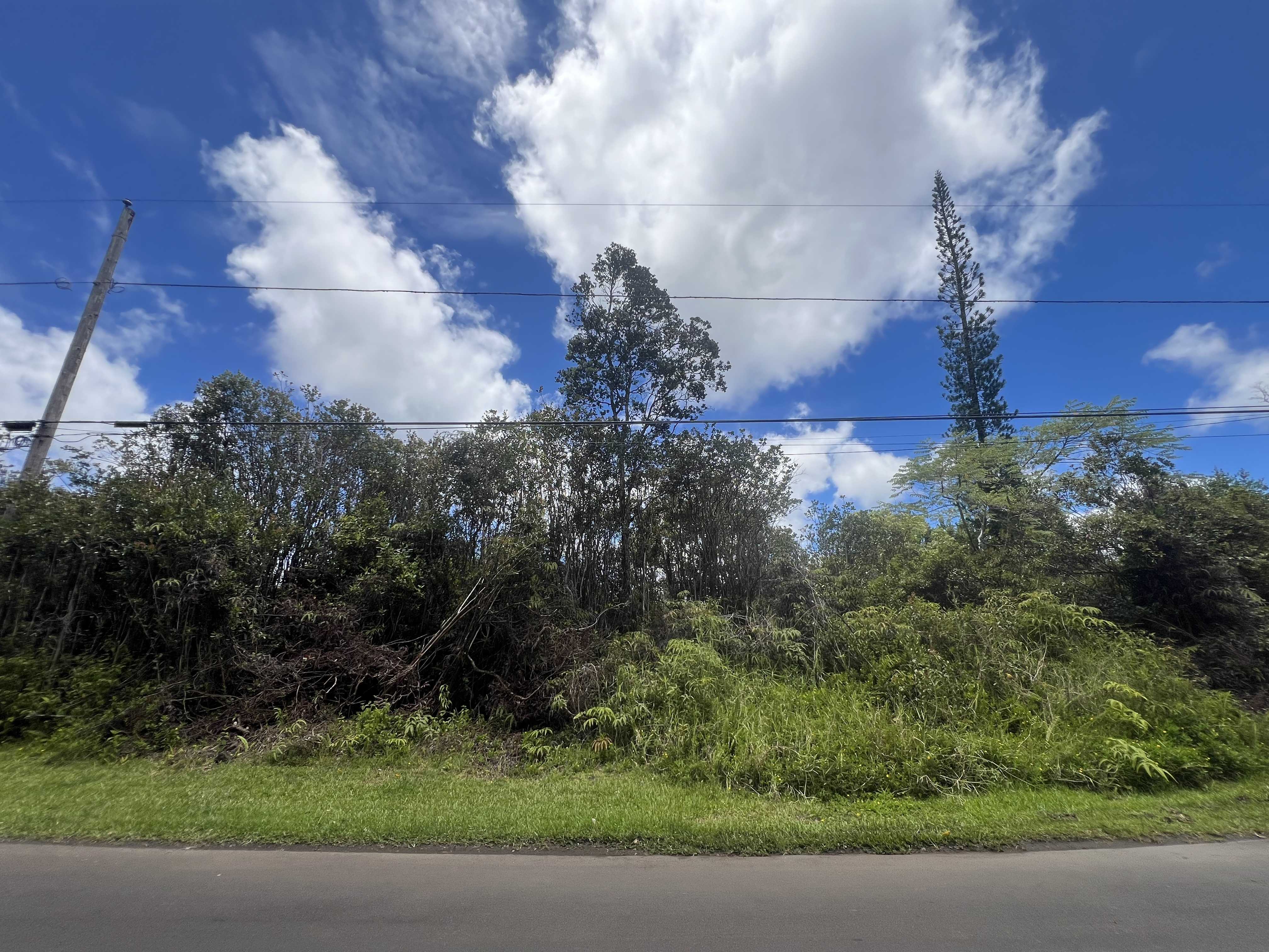 Mountain View, HI 96771,PLUMERIA ST