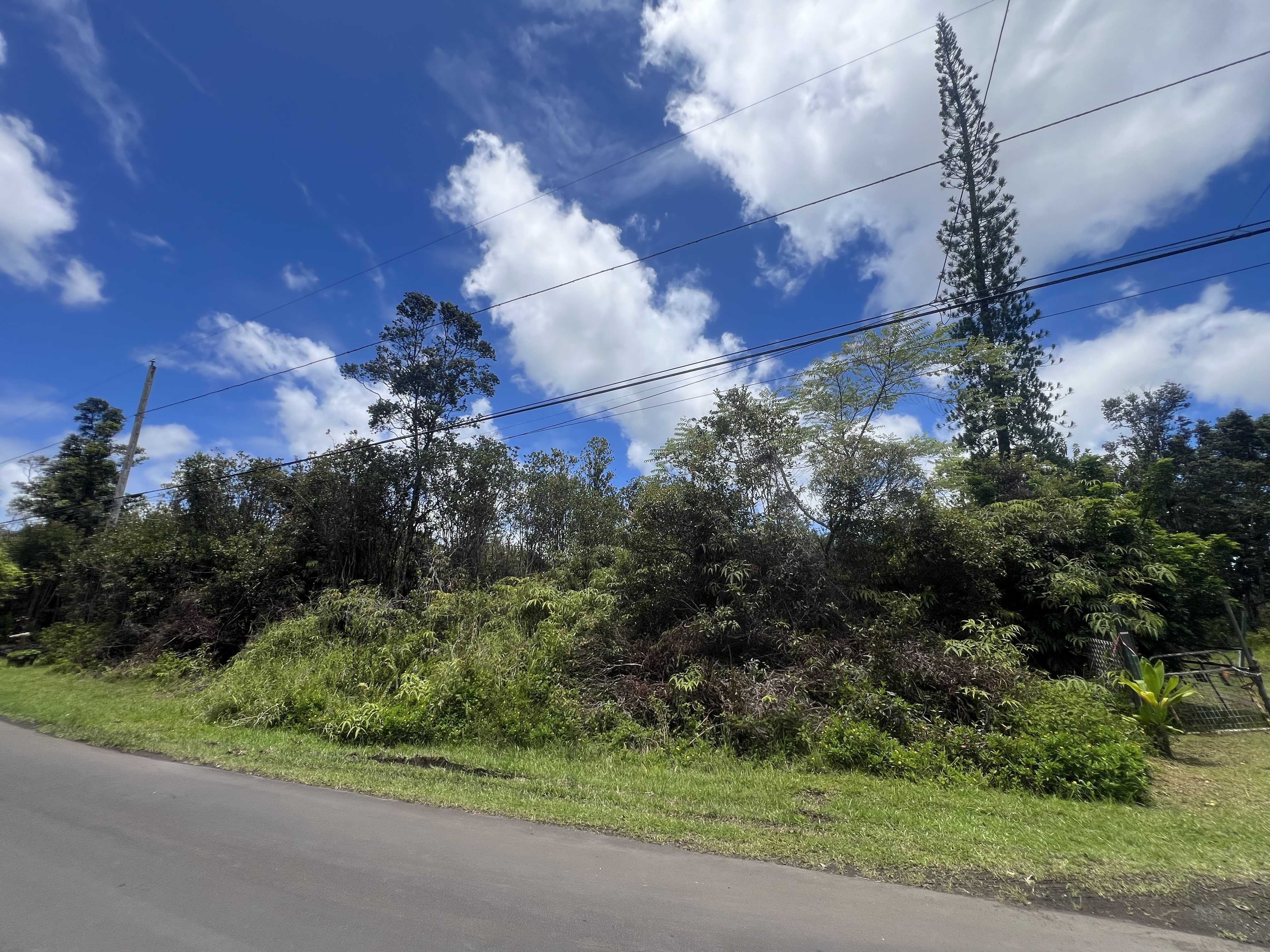 Mountain View, HI 96771,PLUMERIA ST