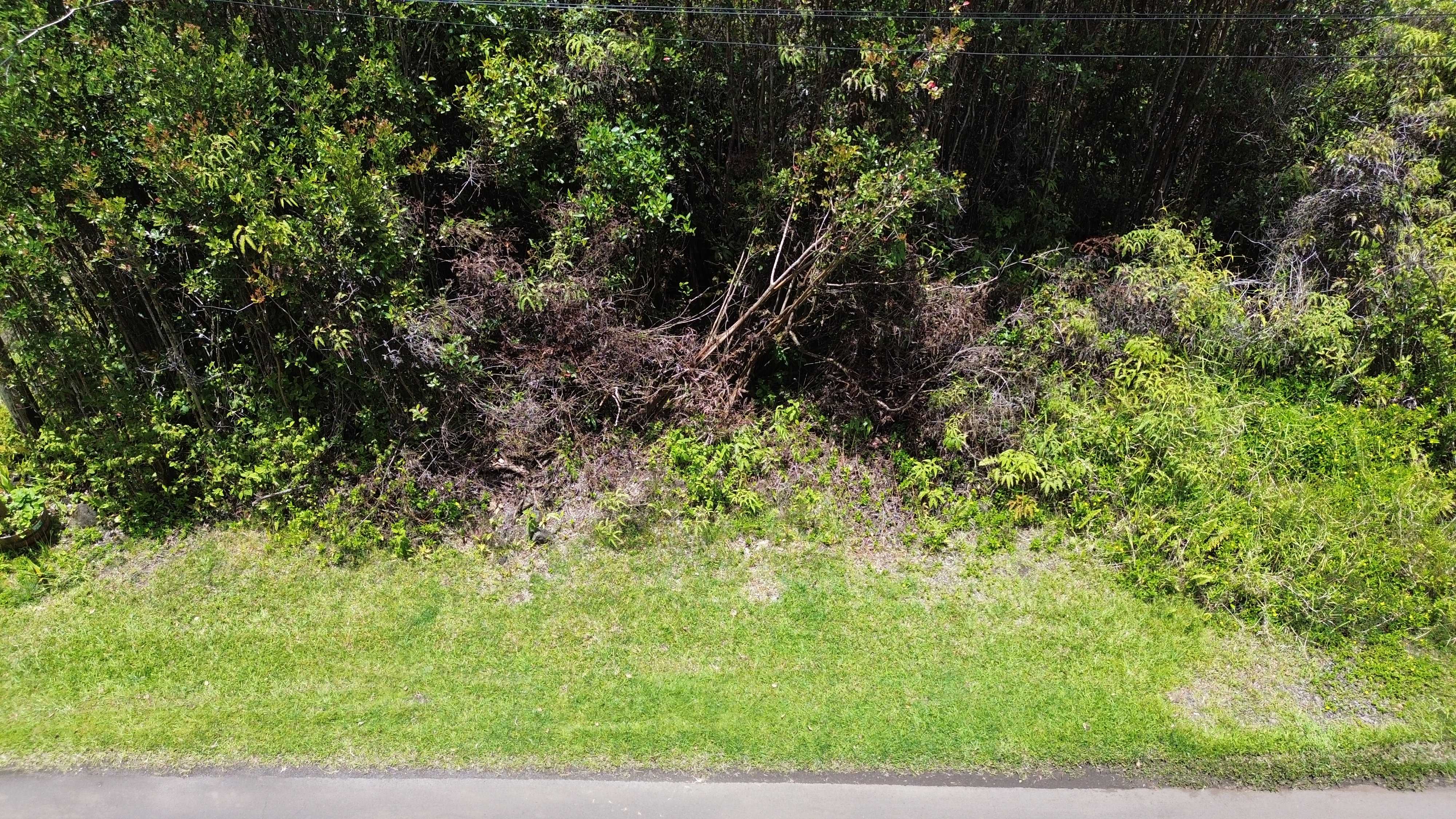 Mountain View, HI 96771,PLUMERIA ST