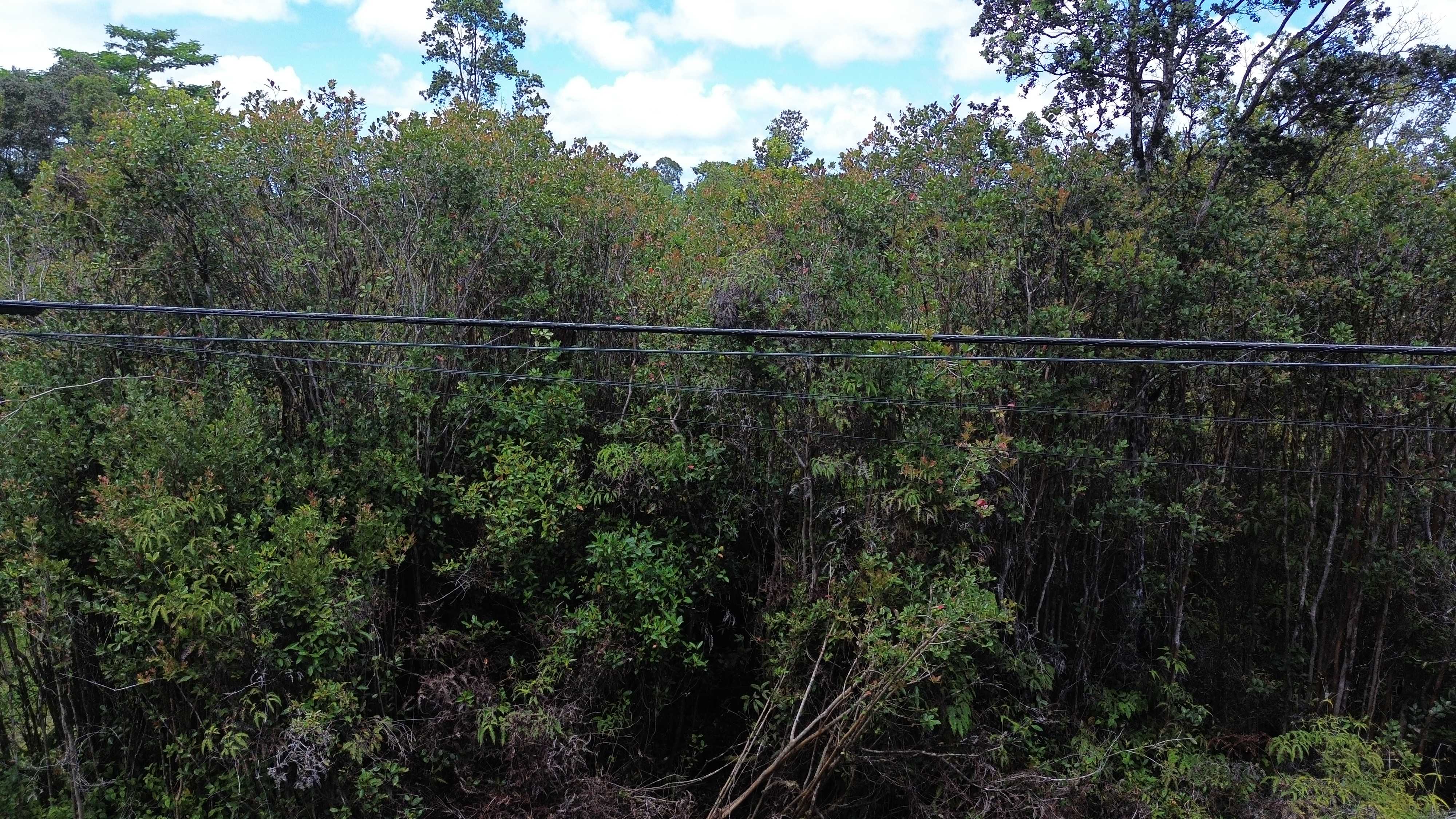 Mountain View, HI 96771,PLUMERIA ST