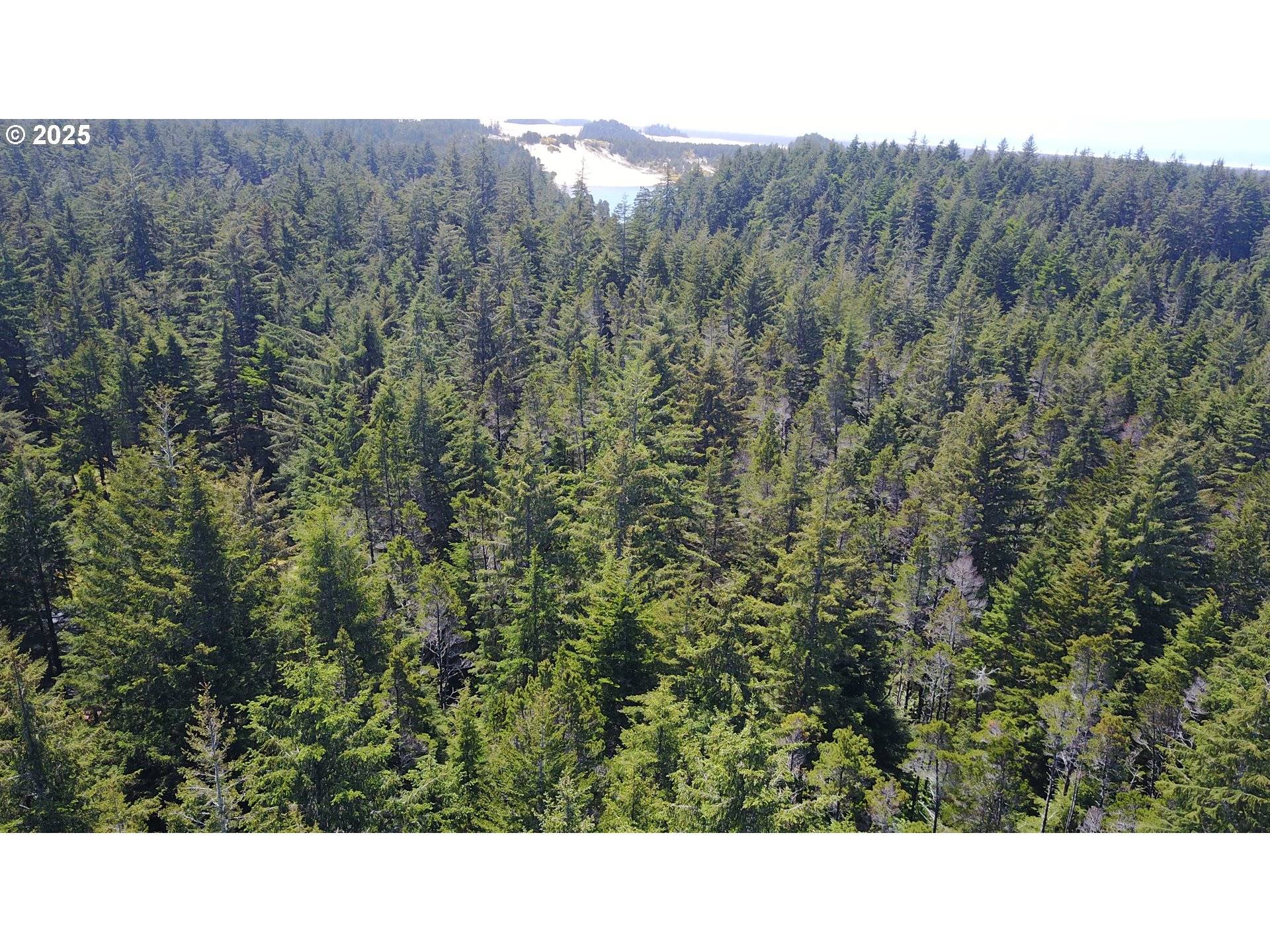 Florence, OR 97439,ALDER DR TL 03300 DR