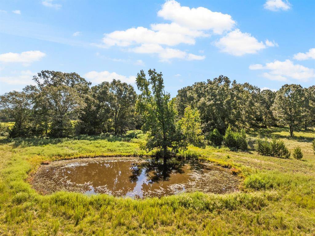 Marietta, TX 75566,816 CR 2590