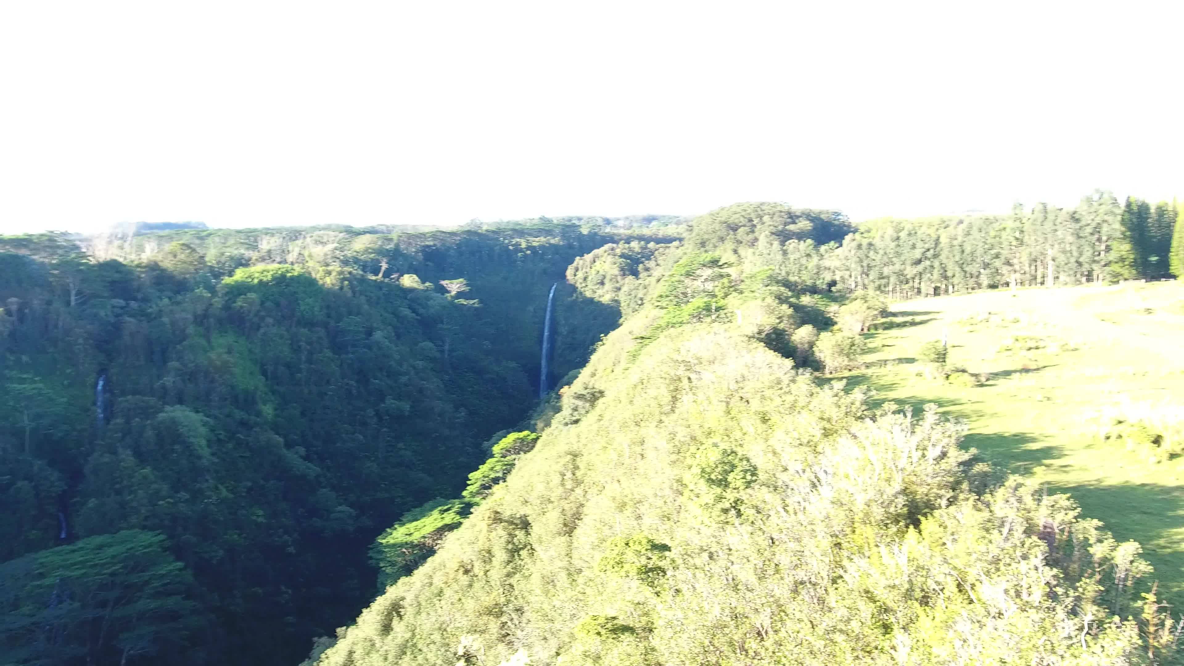 KAIWIKI HOMESTEAD RD, Hakalau, HI 96710