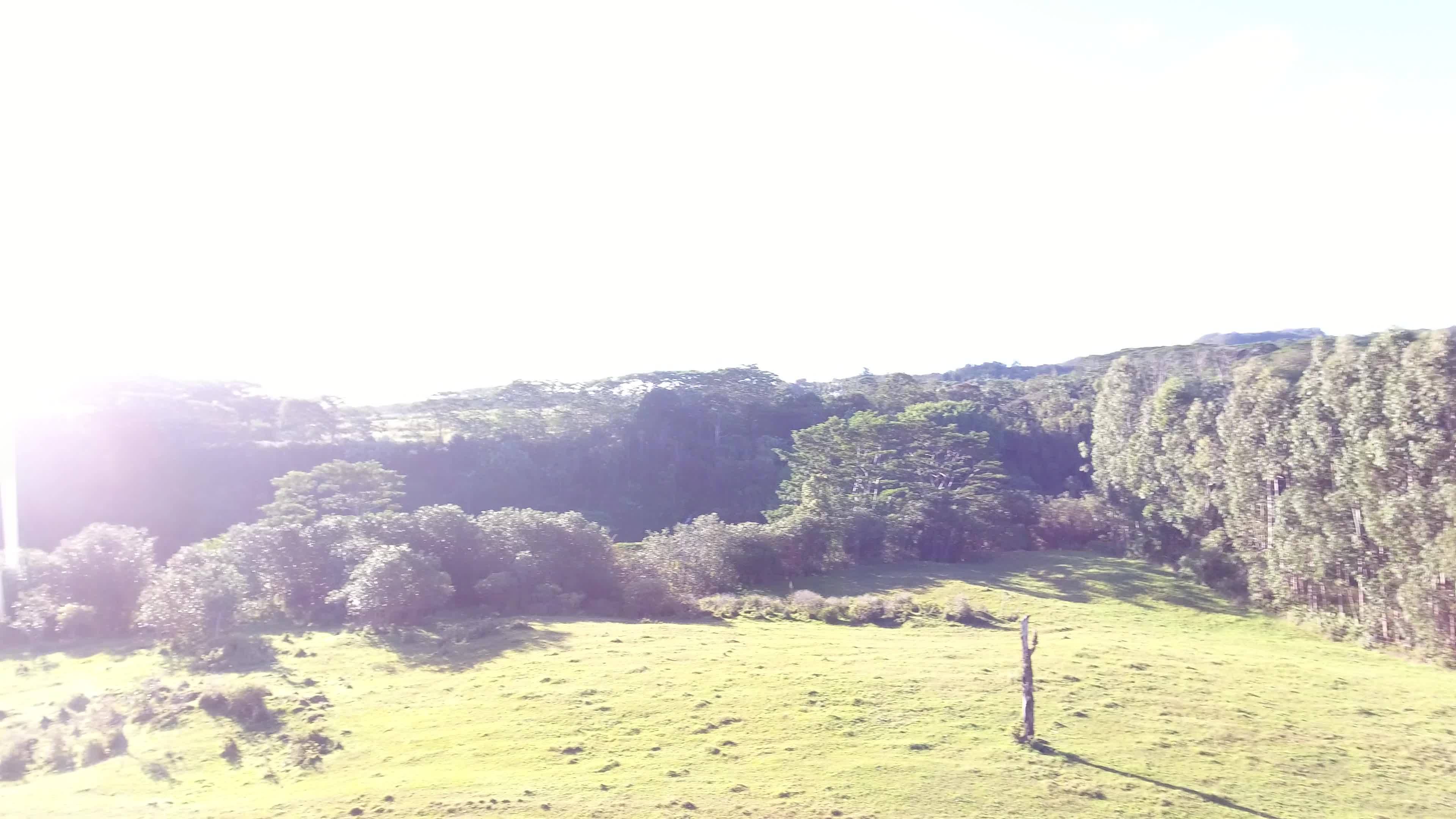 KAIWIKI HOMESTEAD RD, Hakalau, HI 96710