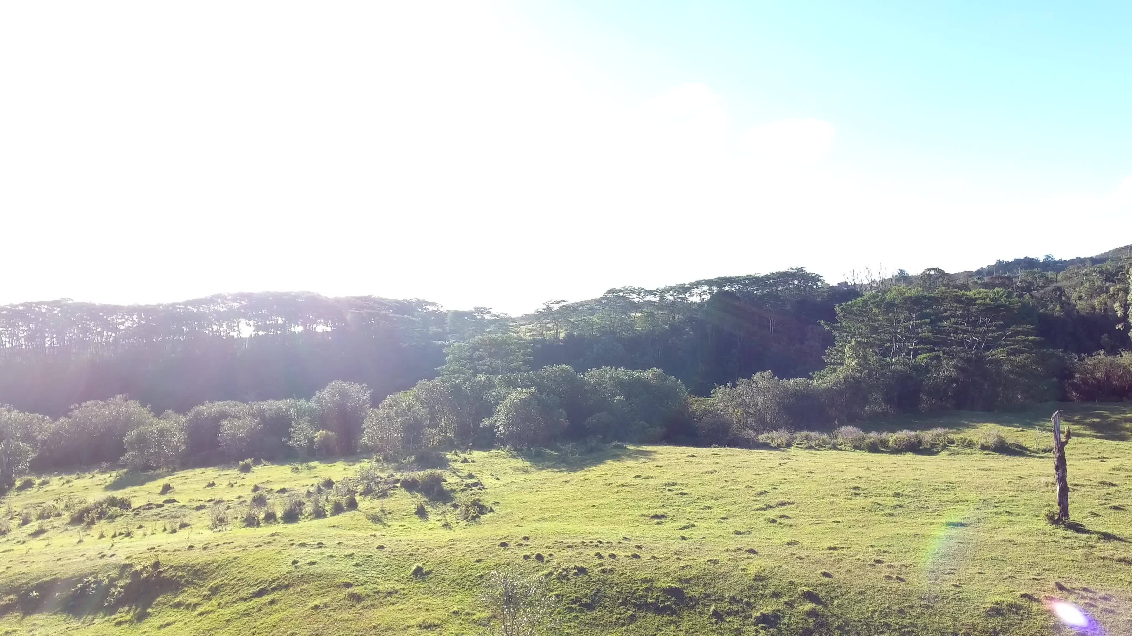 KAIWIKI HOMESTEAD RD, Hakalau, HI 96710