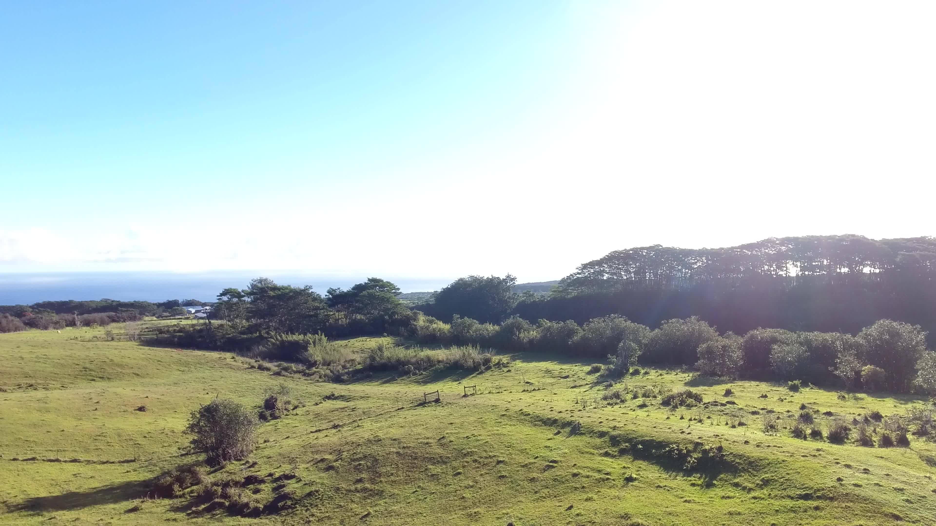 KAIWIKI HOMESTEAD RD, Hakalau, HI 96710