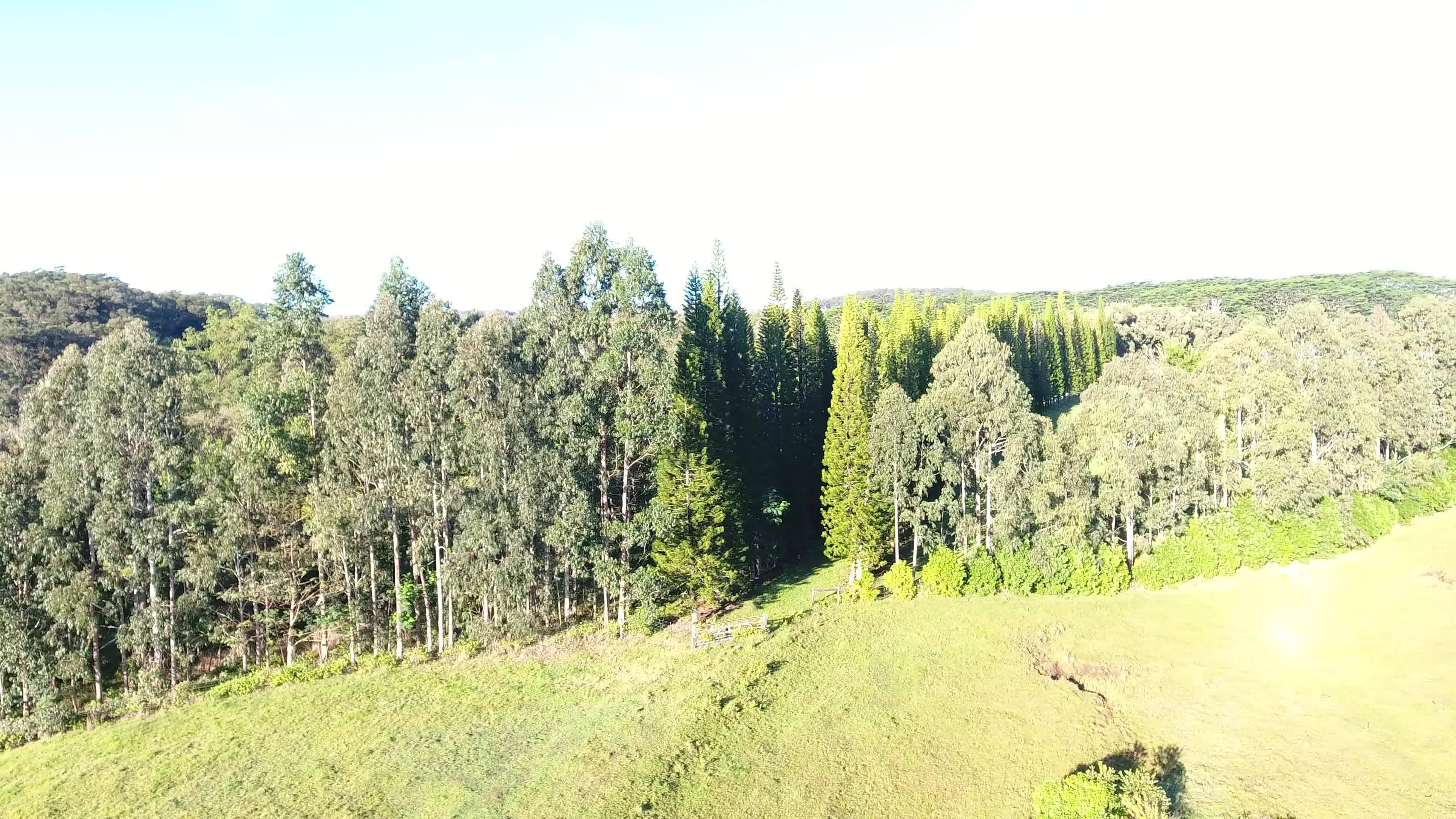 KAIWIKI HOMESTEAD RD, Hakalau, HI 96710