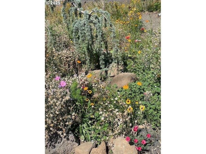 Bingen, WA 98605,218 W Franklin