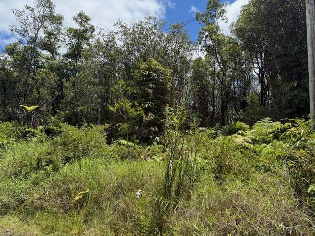 Volcano, HI 96785,18-2285 KAKAHIAKA UHANE ST