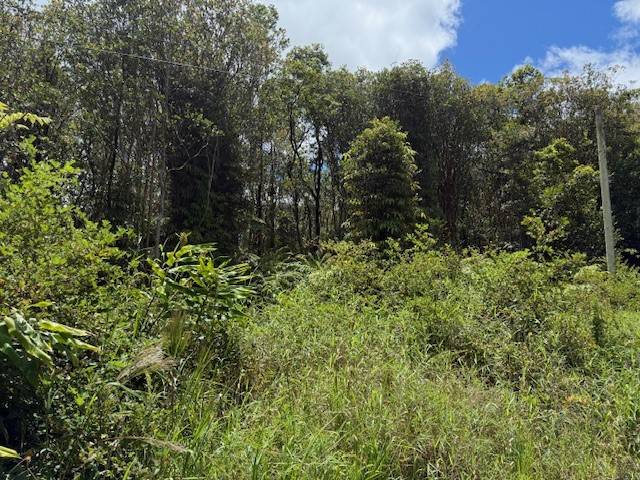 Volcano, HI 96785,18-2285 KAKAHIAKA UHANE ST