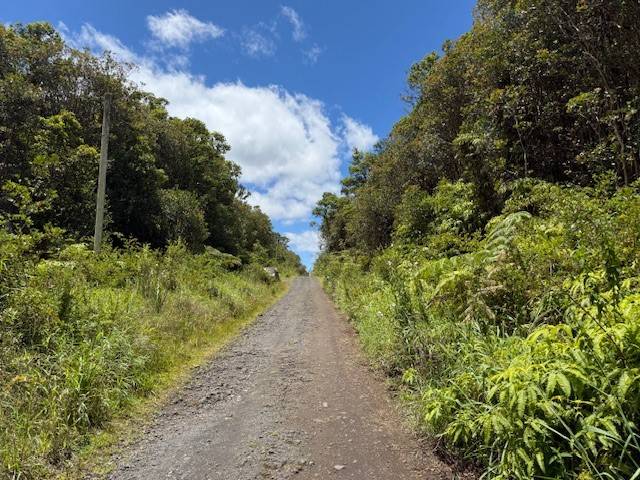 Volcano, HI 96785,18-2285 KAKAHIAKA UHANE ST